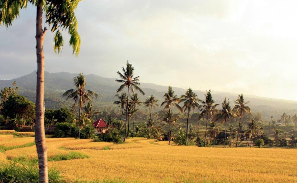 Lafyu Bali Hotel ซีงาราจา ภายนอก รูปภาพ