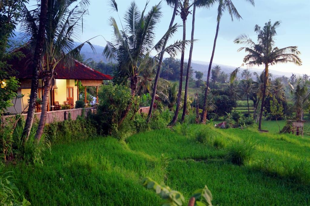 Lafyu Bali Hotel ซีงาราจา ภายนอก รูปภาพ