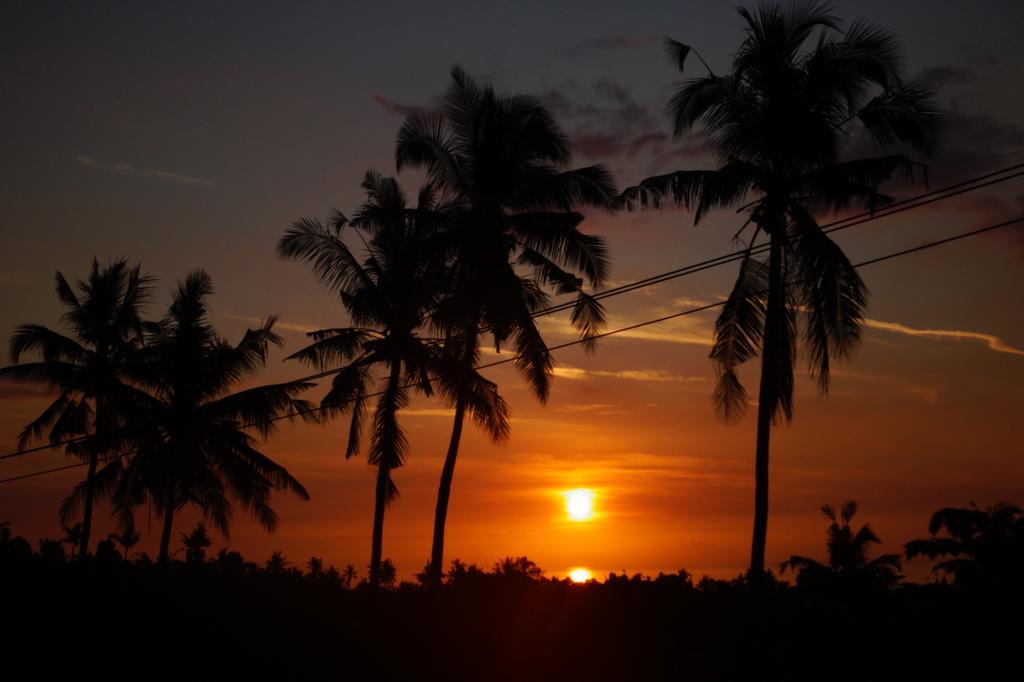 Lafyu Bali Hotel ซีงาราจา ภายนอก รูปภาพ