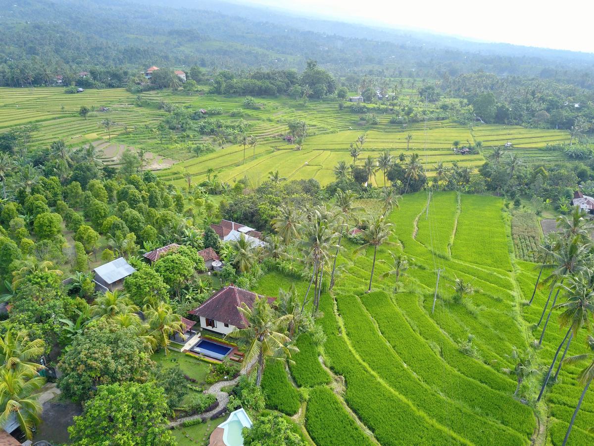 Lafyu Bali Hotel ซีงาราจา ภายนอก รูปภาพ