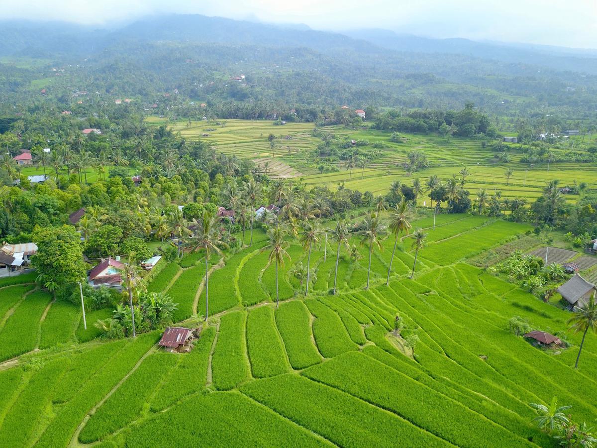 Lafyu Bali Hotel ซีงาราจา ภายนอก รูปภาพ