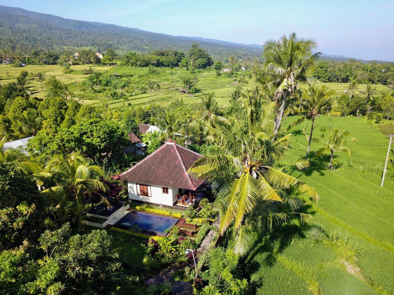 Lafyu Bali Hotel ซีงาราจา ภายนอก รูปภาพ